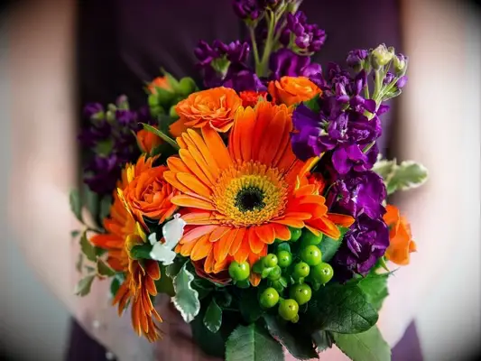 orange gerbera daisies