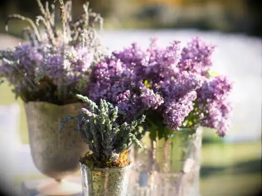 fresh purple lilacs in mercury glass vases