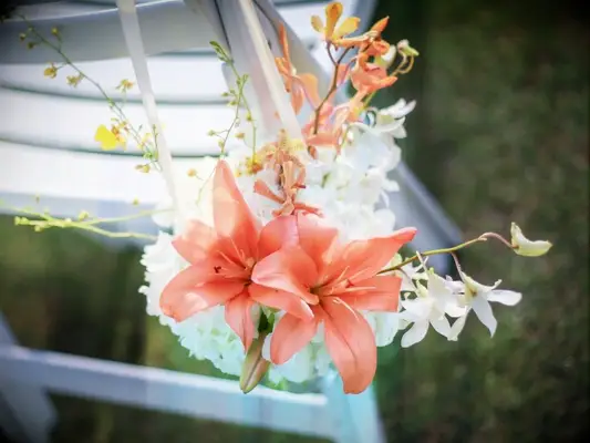 bright orange stargazer lily flowers