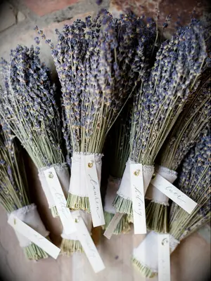 bundles of dried lavender with handwritten name tags
