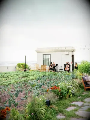 Unique Rooftop Wedding at Brooklyn Grange Farm in New York