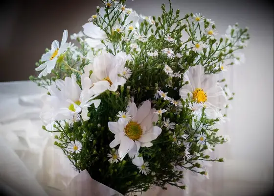 White and Green Natural Daisy and Baby