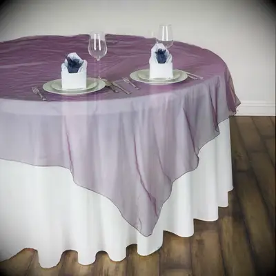 Sheer Organza Overlay in Eggplant