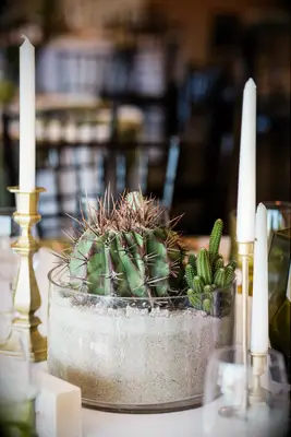 Beautiful round centerpiece filled with sand and a green cactus. 