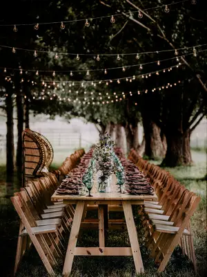 String lights at a backyard wedding
