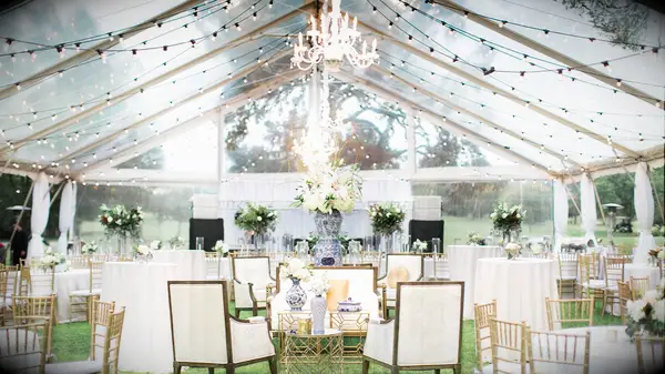 Clear tent at backyard wedding