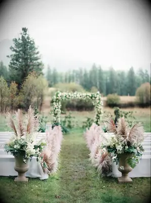 Pampas grass at a backyard wedding.