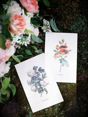 Wildflower Paper Goods