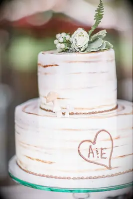 Naked wedding cake with mushrooms