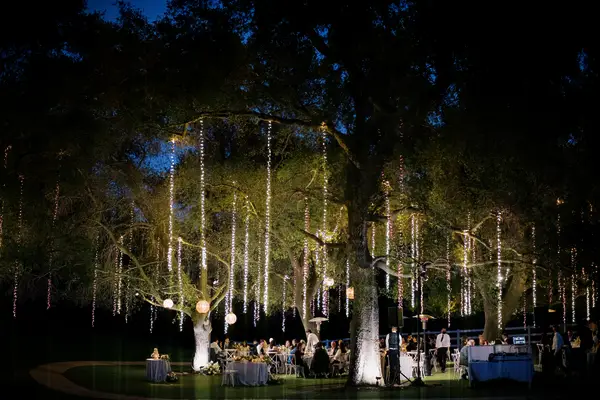 outdoor wedding reception at night with long strands of lights hanging from the branches of a big tree