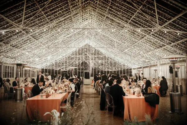 clear top wedding reception tent covered in string light strands