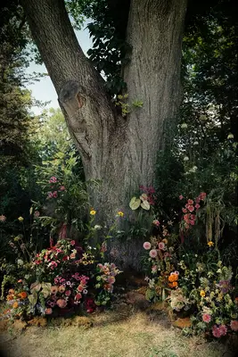 grounded wildflower ceremony arch