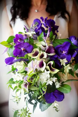 cascading wedding bouquet with purple phalaenopsis orchids, calla lilies, greenery vines and clematis