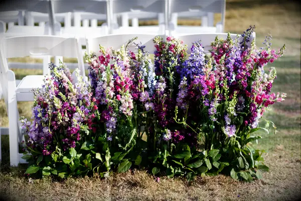 outdoor wedding ceremony decor with tall branches of stock flowers in purple, fuchsia, pink and blue colors