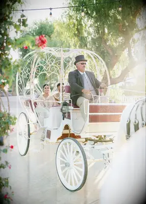 Horse-drawn carriage at fairytale-themed wedding