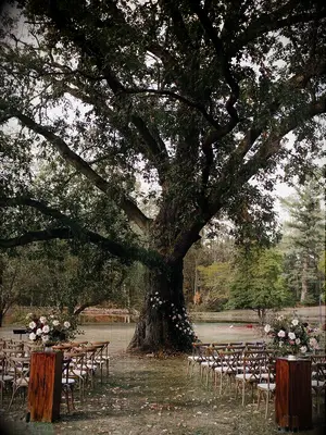 Fairytale-themed wedding ceremony 