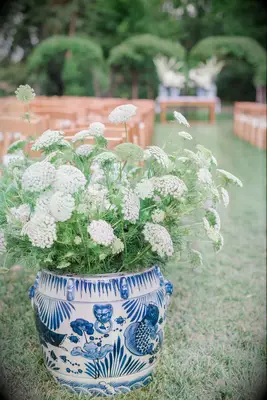 A potted floral arrangement of white queen anne