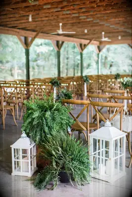 These ferns are perfect for a boho-chic wedding aisle.