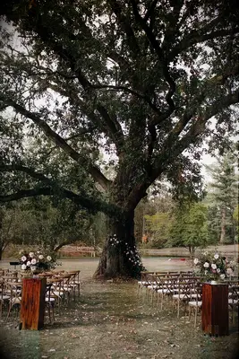 A wedding ceremony site set at the foot of an ancient oak tree.
