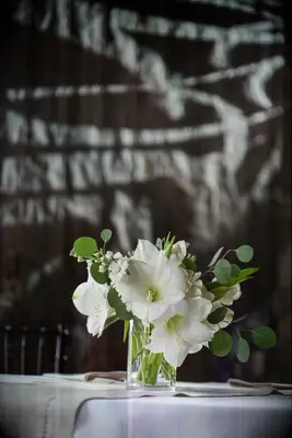 Eucalyptus and Lily Centerpieces