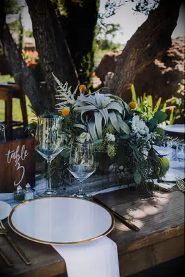 Centerpiece with rustic air plant