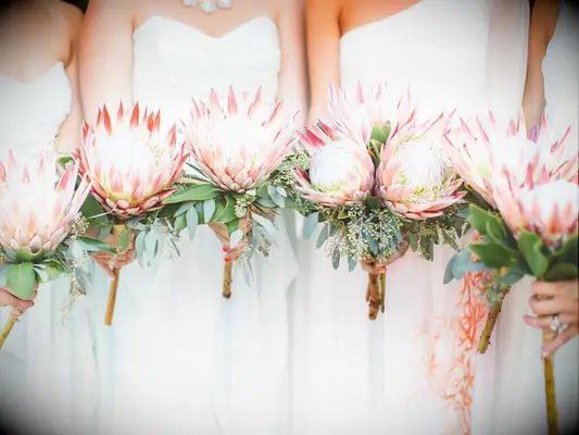 A bride and her wedding party hold vibrant protea bouquets.