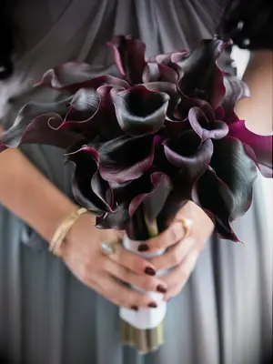 A bridesmaid holds this dramatic purple lily bouquet.