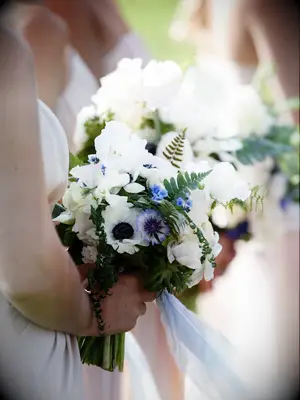 Bridesmaids hold bright blue and white flowers.