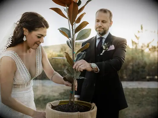 70s themed wedding tree ceremony