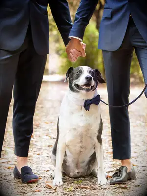 Couple pose idea for wedding day pictures holding hands