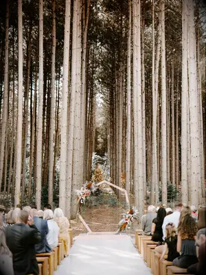 outdoor wedding venues pinewoods forest