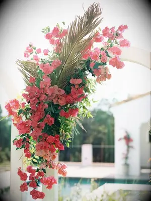 wedding arch decorated with bougainvillea