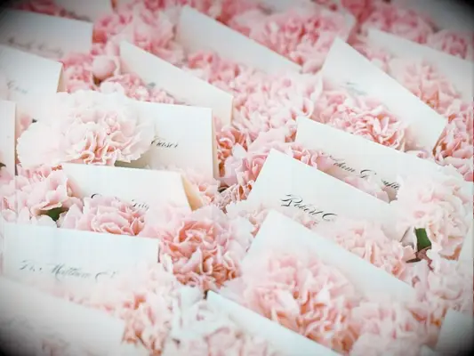 escort cards displayed amongst pink carnations