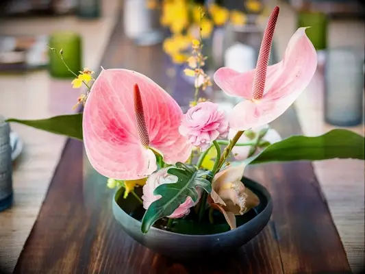 pink anthurium centerpiece