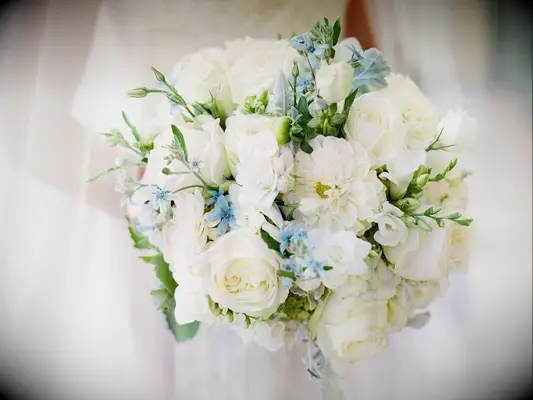 white bouquet with blue tweedia accents
