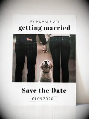 etsy dog funny black and white save the date digital card with photo
