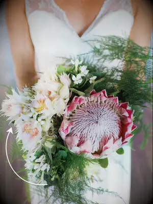 Light pink bouquet made with King protea and blushing bride flowers
