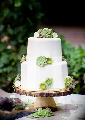 Succulent-adorned garden wedding cake idea