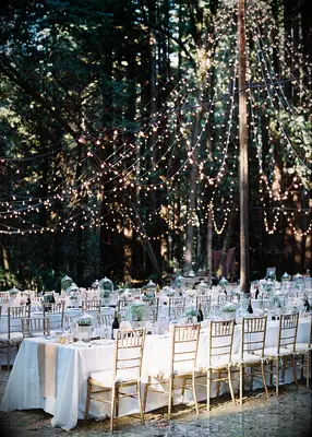 Fairy lights at garden wedding