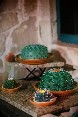 Cacti-shaped groom