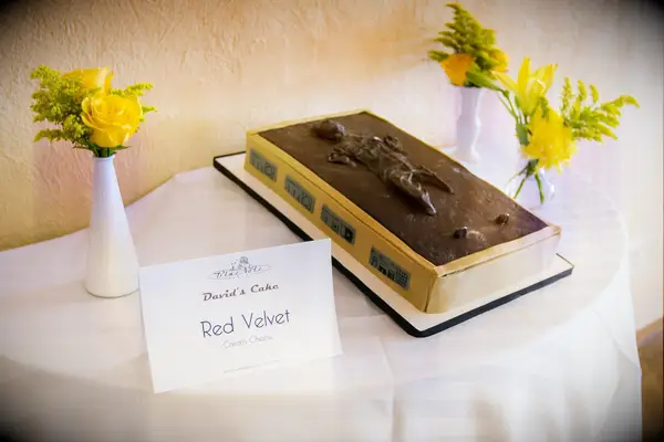 Han Solo shaped groom