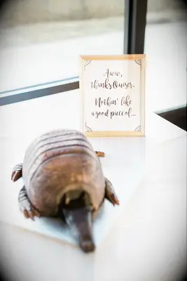 Armadillo-shaped groom