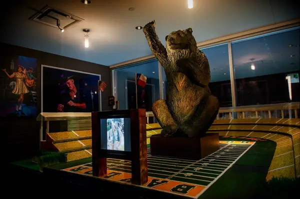 Baylor Bears themed groom