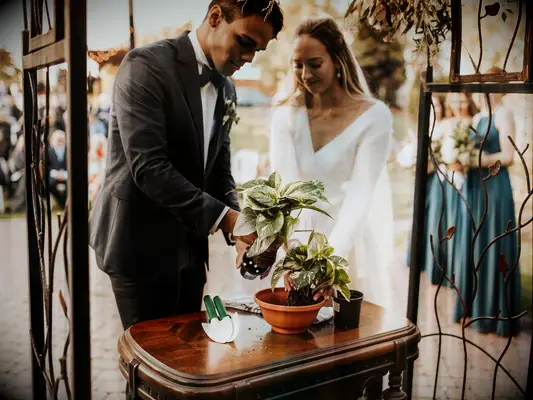 Bride and groom planting succulent during wedding unity ceremony