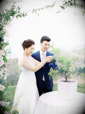 Bride and groom watering tree during tree-planing wedding unity ceremony