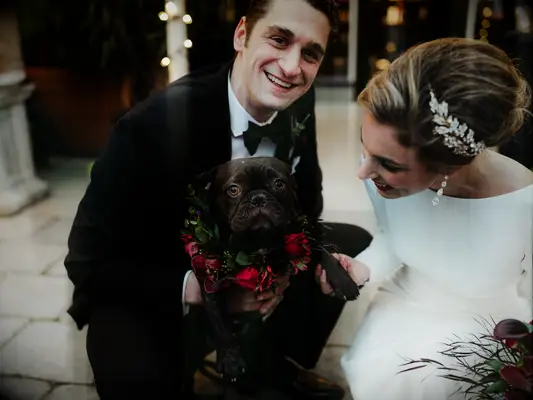 winter wedding ideas dog outfit