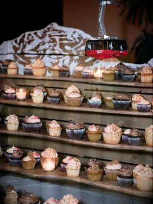 winter wedding ideas ski themed cupcake display