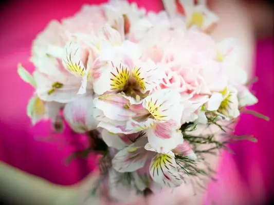 A bouquet with fresh Alstroemeria flowers