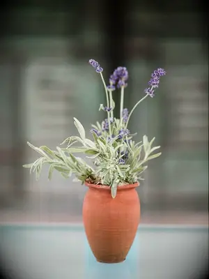 A clay vase with lavender flowers