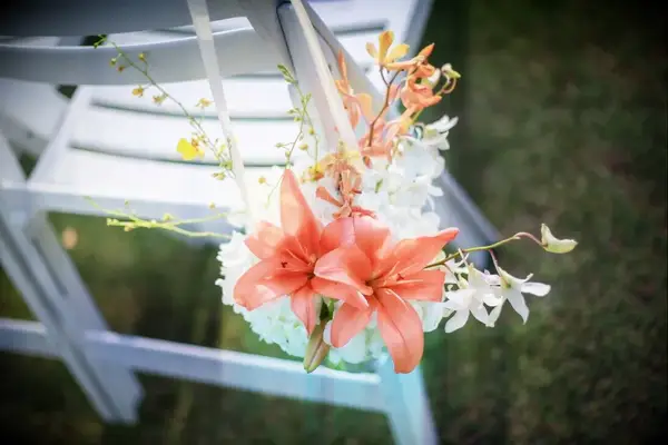 Gorgeous peach-colored lilies